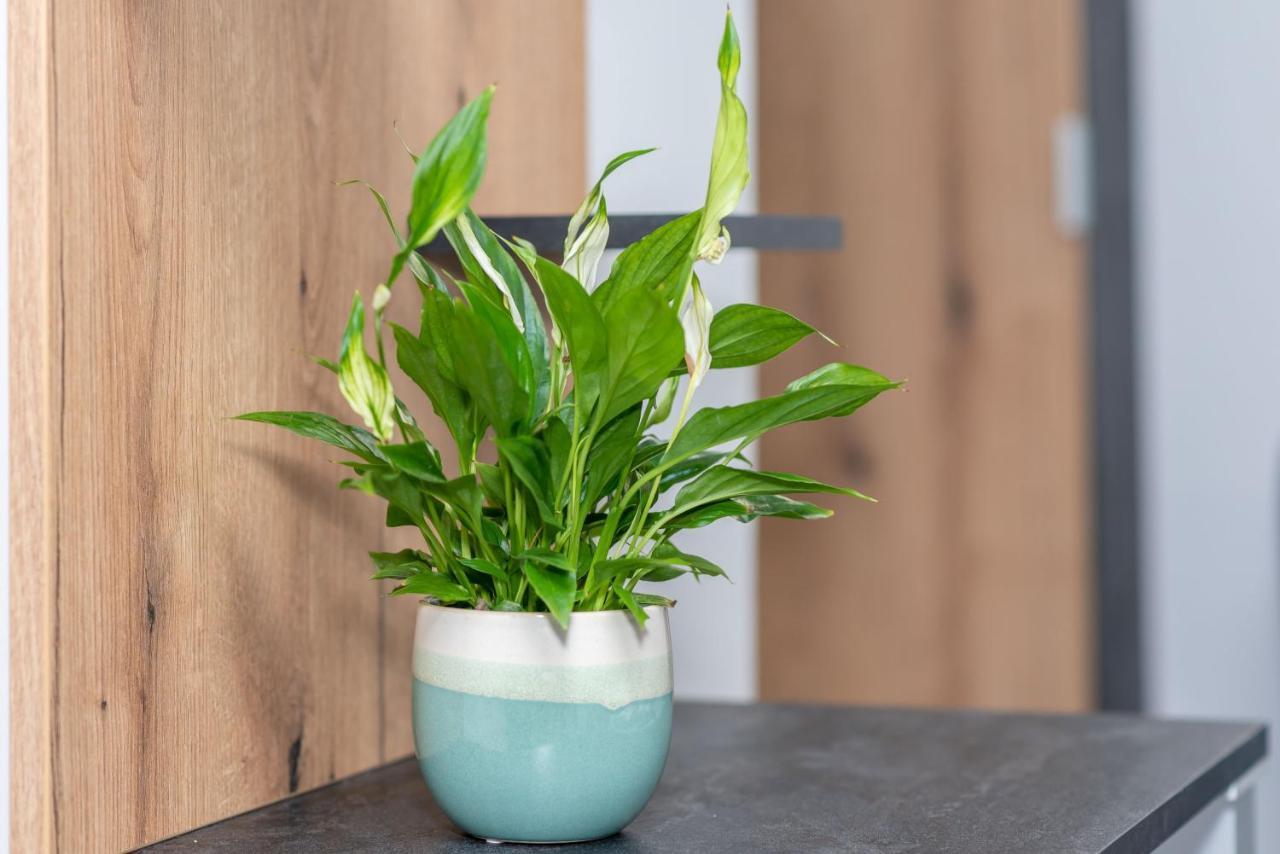 Arany Apartman 미슈콜츠 외부 사진